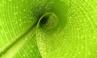 世界体操单项赛赛场新材料测试获成功，世界体操锦标赛奖牌